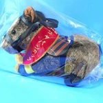 Kitasan Black Plush Horse Racing Japan Cup Ver Avanti Size. Fixed Price $357.00.