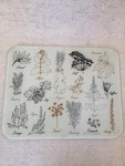 Vintage Vance Industries Botanical Herb Print Glass Cutting Board 15 X 12. Fixed Price $50.00.