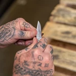 Gear Paraframe Mini Pocket Knife, 2.2" Fine Edge Small Edc Folding With.... Fixed Price $27.95.